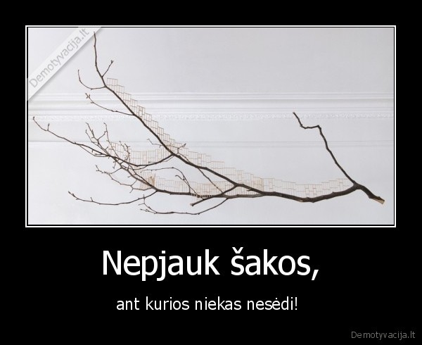 Nepjauk šakos,