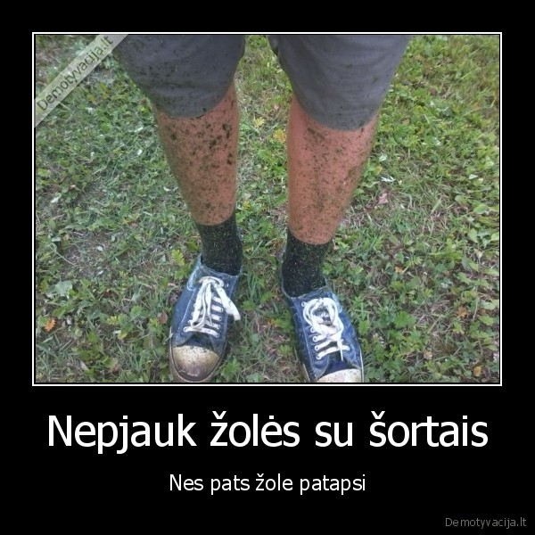 zole,sunkiai,atsiplauna