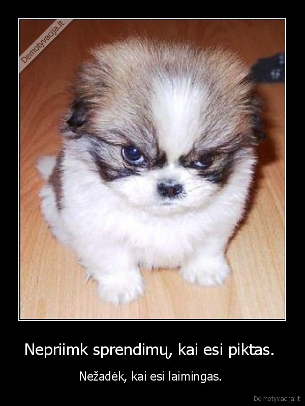 Nepriimk sprendimų, kai esi piktas. 