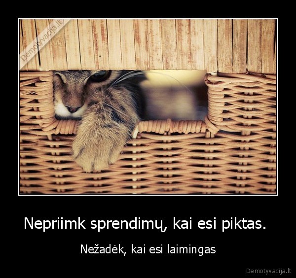 Nepriimk sprendimų, kai esi piktas. 