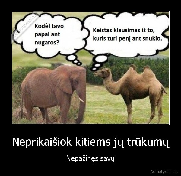 Neprikaišiok kitiems jų trūkumų