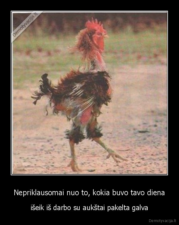 Nepriklausomai nuo to, kokia buvo tavo diena