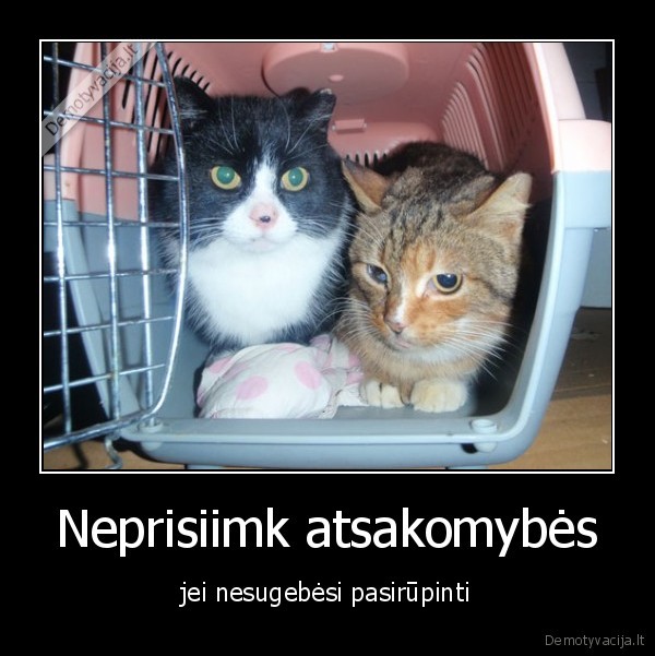 Neprisiimk atsakomybės