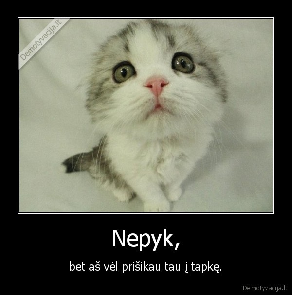 Nepyk,