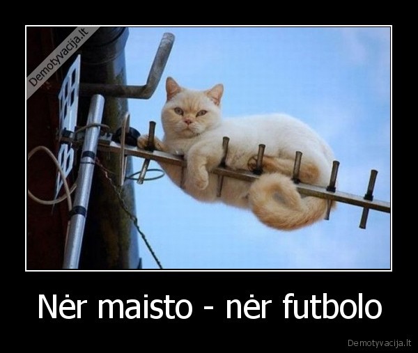 Nėr maisto - nėr futbolo