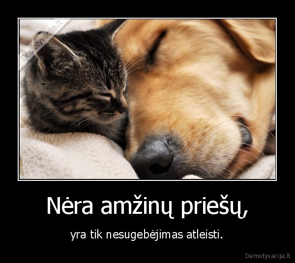 Nėra amžinų priešų,