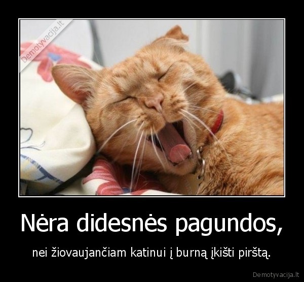 Nėra didesnės pagundos,