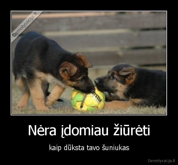 mieli, gyvuneliai, net, sirdi, spaudzia, 