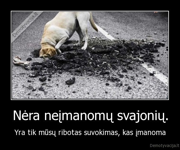 Nėra neįmanomų svajonių.