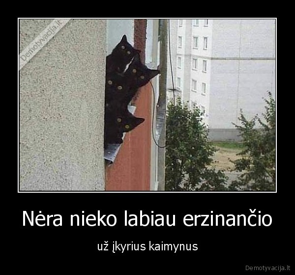 Nėra nieko labiau erzinančio