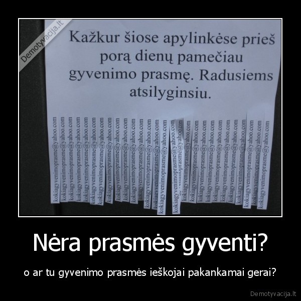 gyvenimo, prasme,gyvenimas,skelbimas