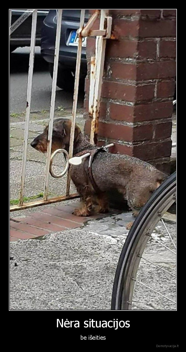 suo,situacija,nepabegs