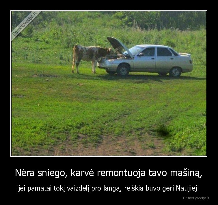 naujieji,prigerei,karve,masina