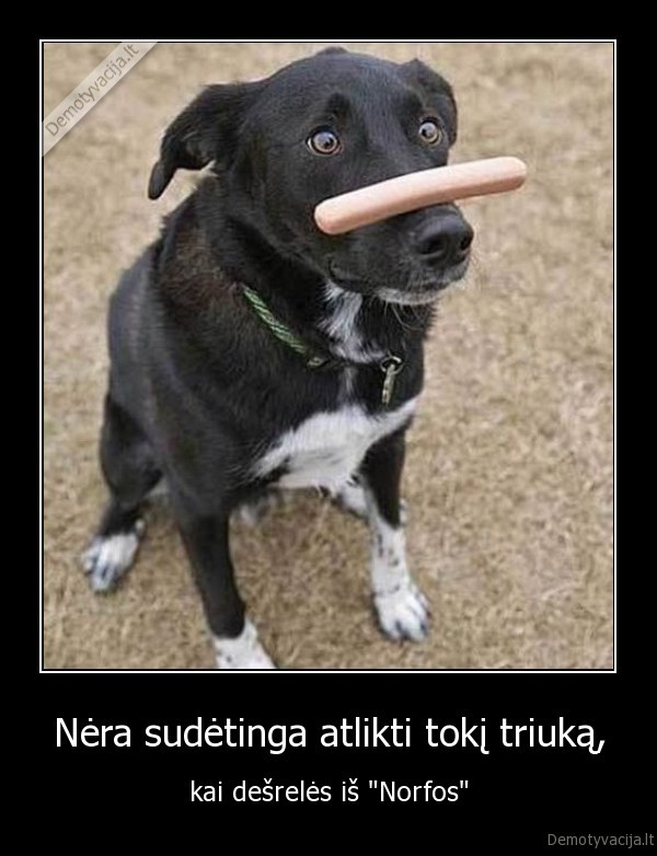 suo, desrele, norfa, mesa