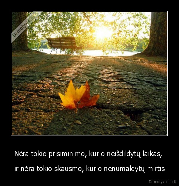 Nėra tokio prisiminimo, kurio neišdildytų laikas, 