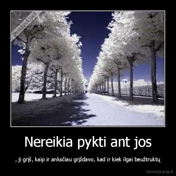 Nereikia pykti ant jos