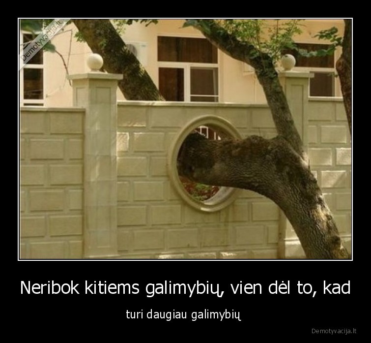 galimybes,daugiau,medis