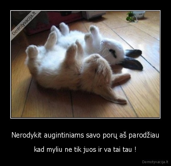 Nerodykit augintiniams savo porų aš parodžiau