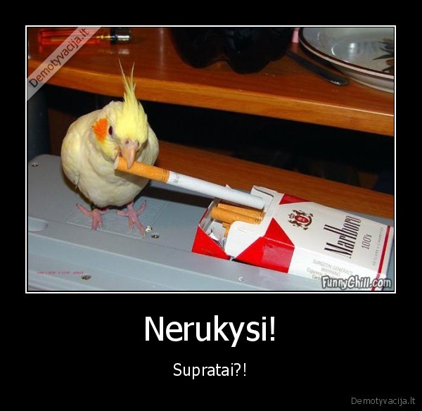 Nerukysi!