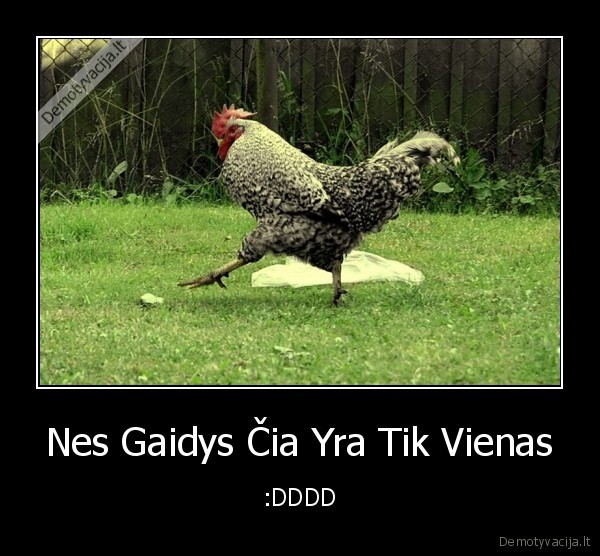 gaidys