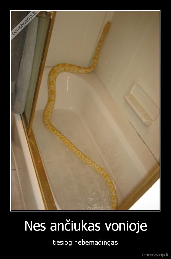 Nes ančiukas vonioje