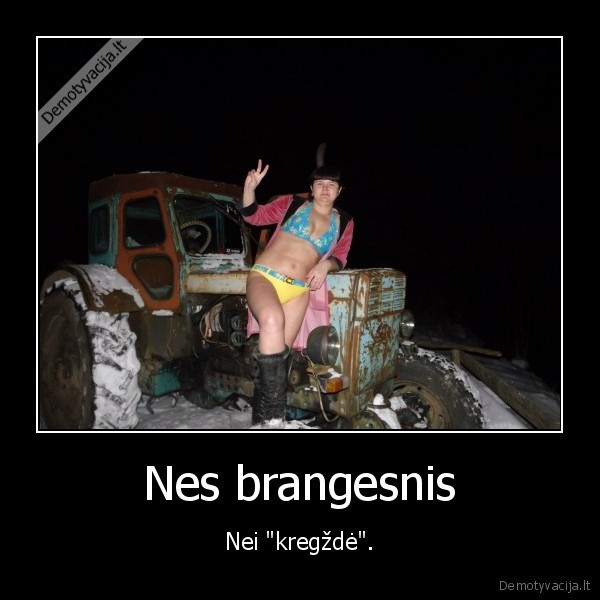 bmw,traktorius,panele