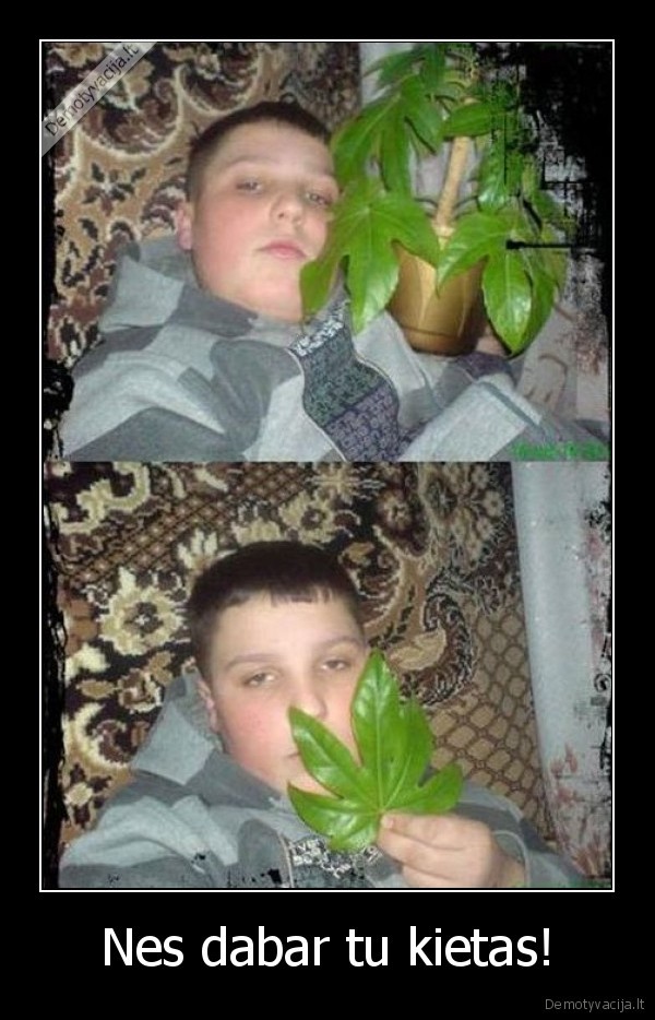 kanapes,vazonas,kitas, bicas,tu, taip, nemoki