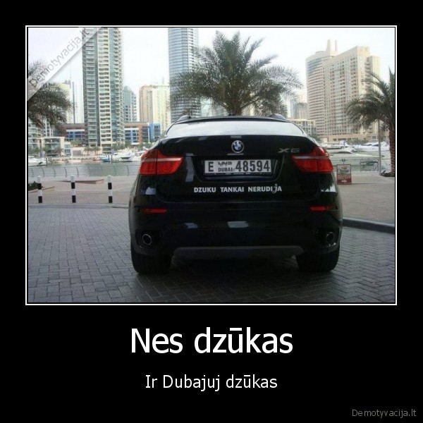 gyvenimas,dzukas,tankai, nerudija,dubajus