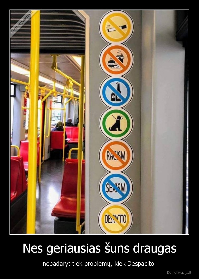 despacito,draudimai,suo