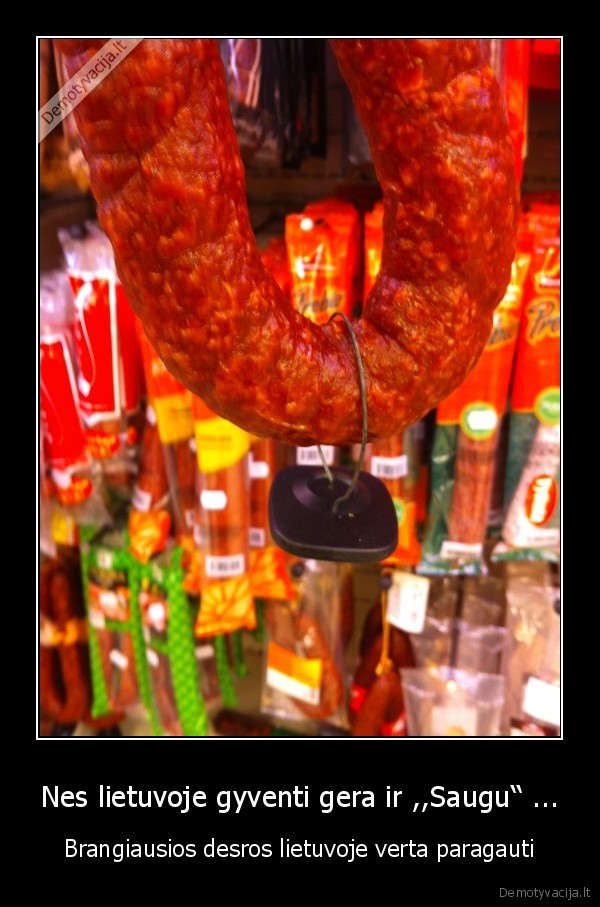 Nes lietuvoje gyventi gera ir ,,Saugu‘‘ ...