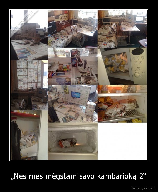 studentas,kambariokas,laikrastis,kambarys,barakas