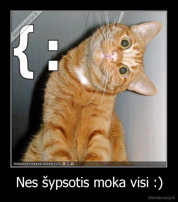 Nes šypsotis moka visi :)