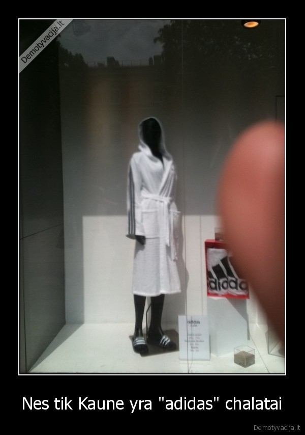 kaunas,adidas