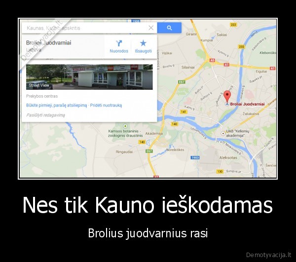 kaunas,broliai, juodvarniai,juodvarniai,alus
