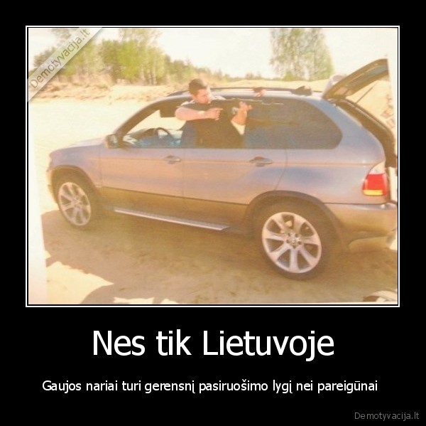 lapinu, gauja,vilnius