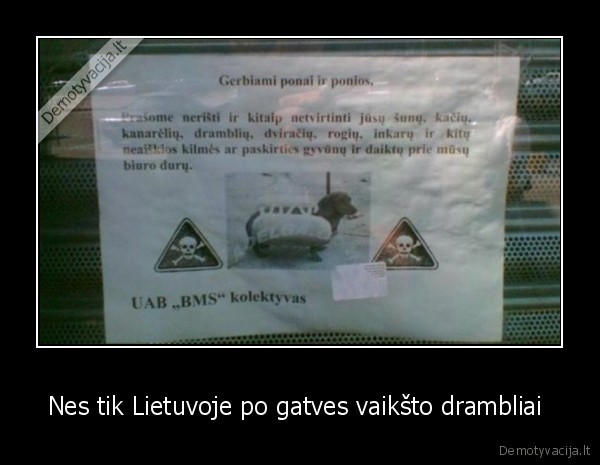Nes tik Lietuvoje po gatves vaikšto drambliai 