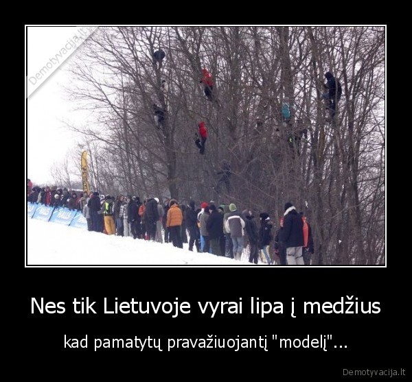 Nes tik Lietuvoje vyrai lipa į medžius