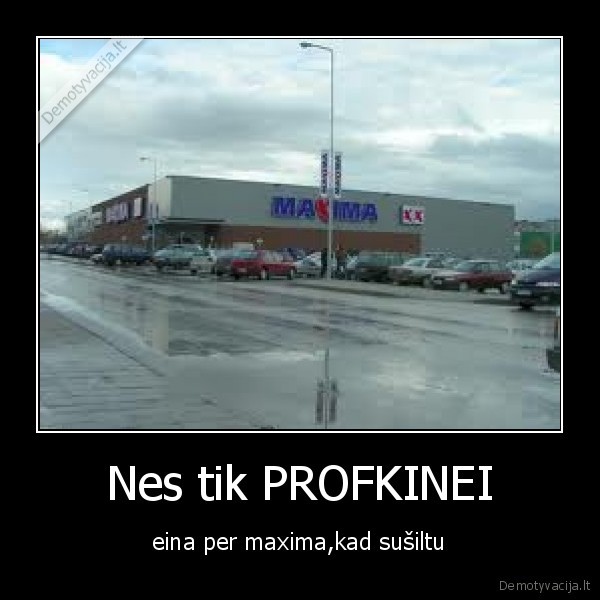 profkes, idiotai