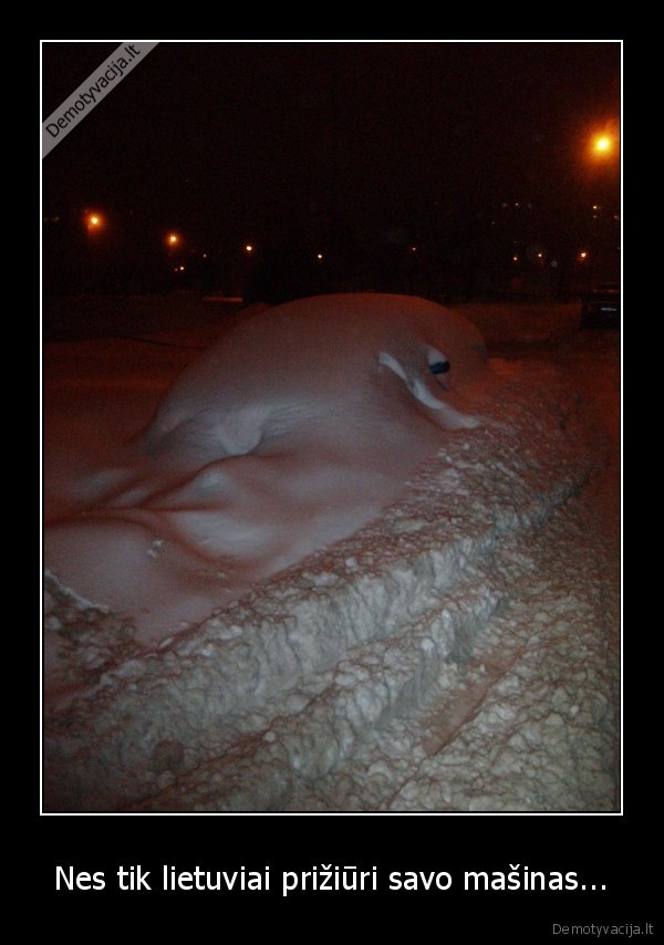 lietuviai,masinos