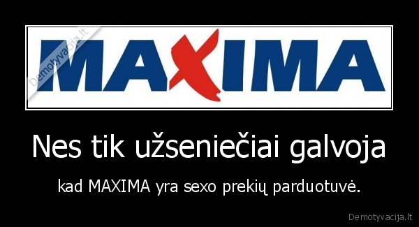 maxima,kubilius,asilas