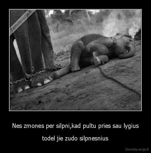 Nes zmones per silpni,kad pultu pries sau lygius