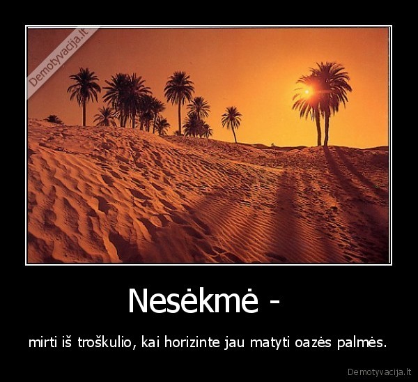 Nesėkmė - 