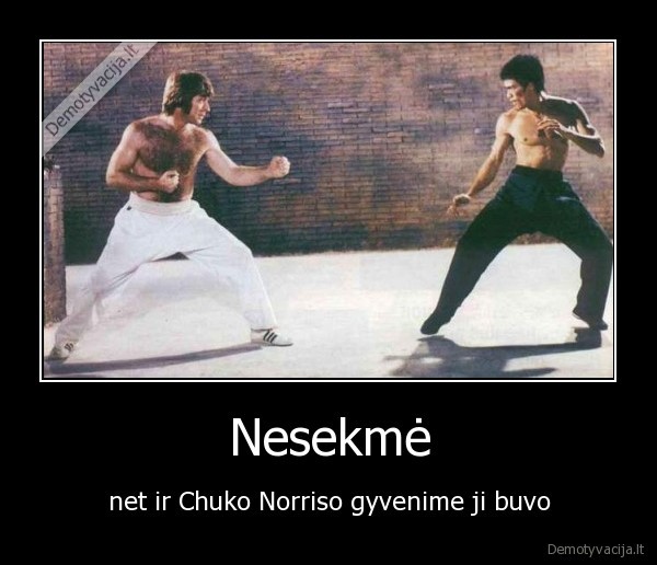 chuck, norris,bruce, lee,fight