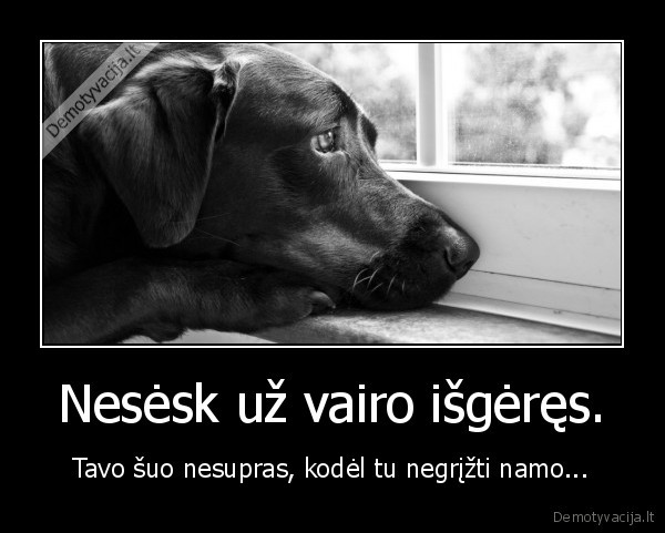 prevencija,alkoholis,mirtis, uz, vairo