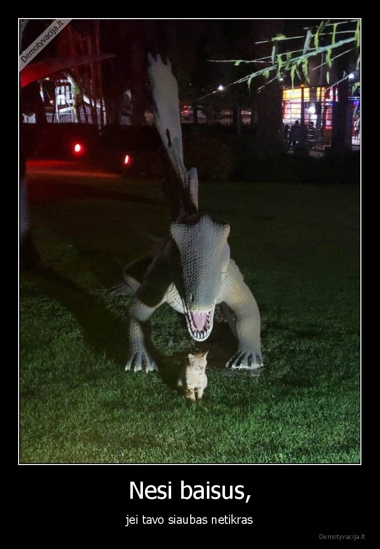 siaubas,baisus,netikras,katinas