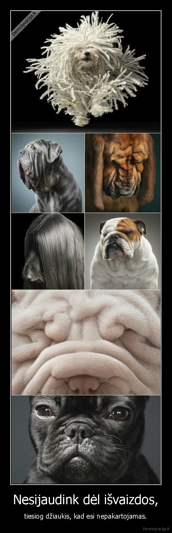 Nesijaudink dėl išvaizdos,