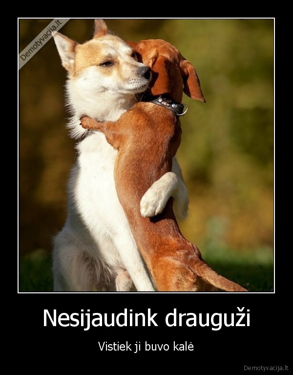 sunys,paguoda,paliko, mergina