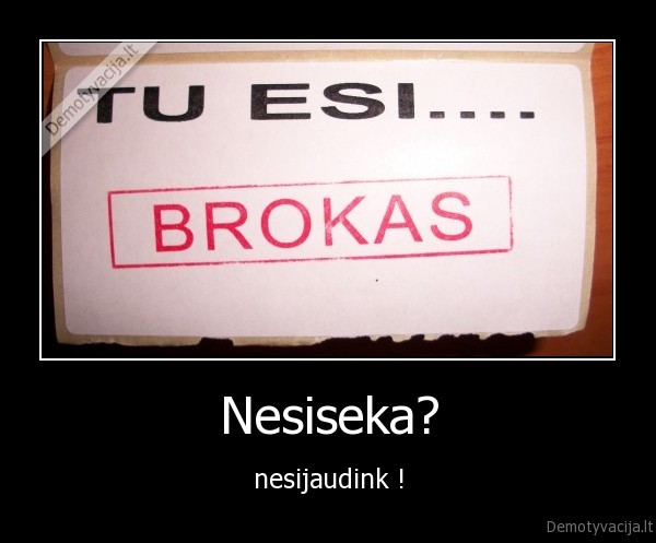 Nesiseka?