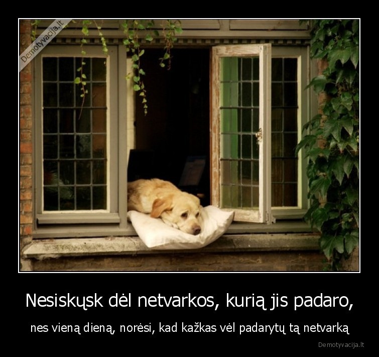 suo,netvarka,pasiilgti