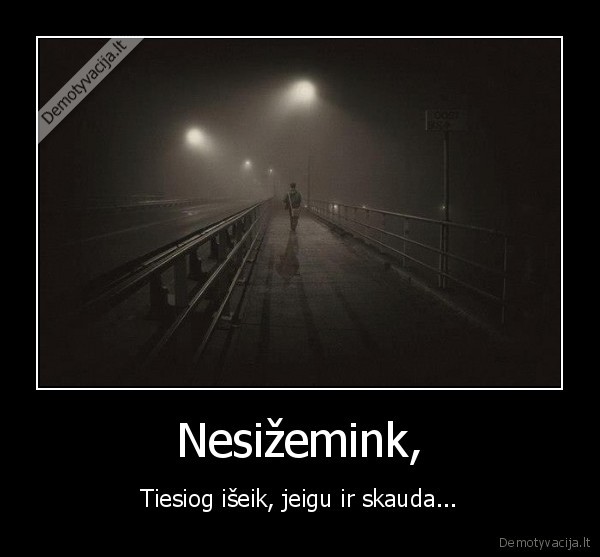 Nesižemink,